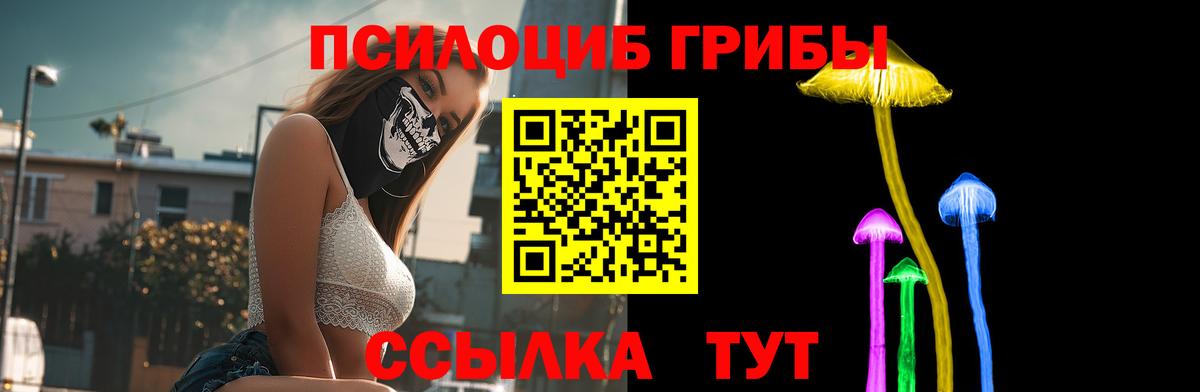 Галлюциногенные грибы MAGIC MUSHROOMS  Вход с VPN  Нефтекумск 